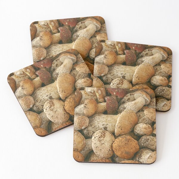 Item preview, Porcini mushrooms in close up designed and sold by Photopat.
