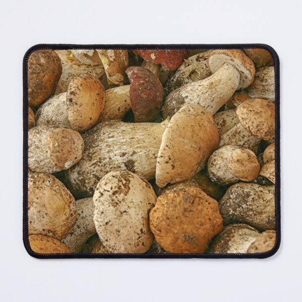 Item preview, Porcini mushrooms in close up designed and sold by Photopat.