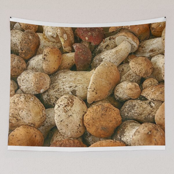 Item preview, Porcini mushrooms in close up designed and sold by Photopat.