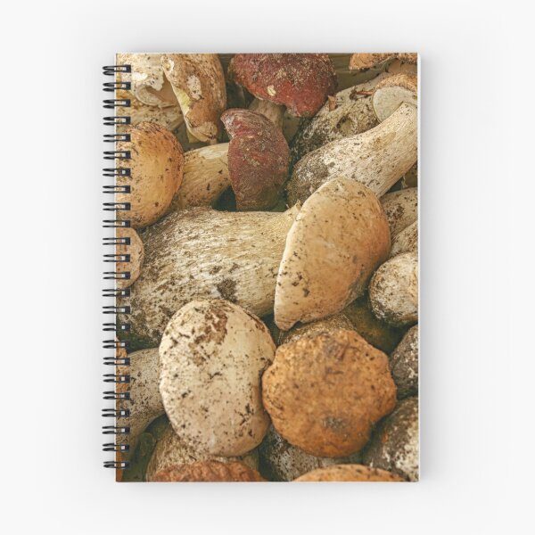 Item preview, Porcini mushrooms in close up designed and sold by Photopat.