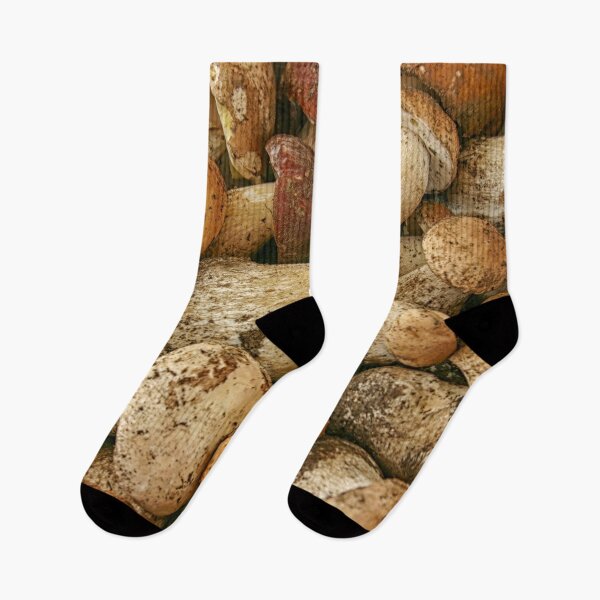 Item preview, Porcini mushrooms in close up designed and sold by Photopat.