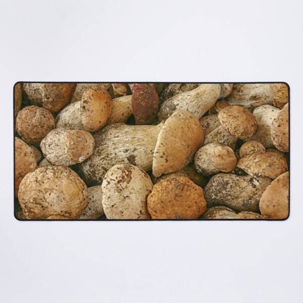 Item preview, Porcini mushrooms in close up designed and sold by Photopat.