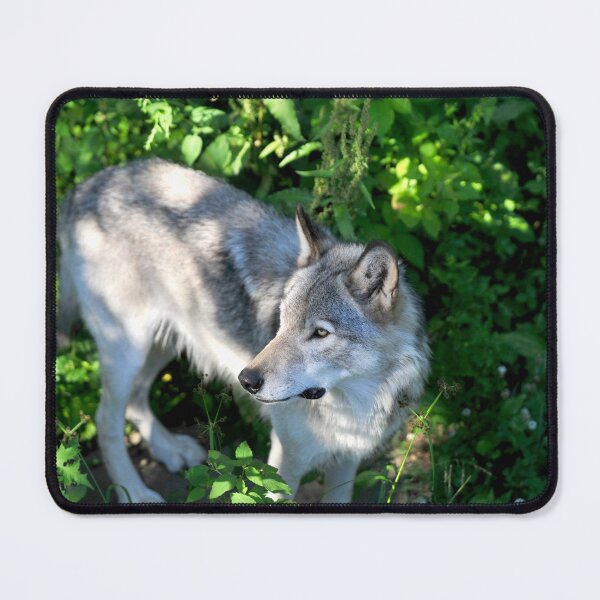 Item preview, Alpha designed and sold by The Wild Healing.