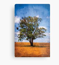Surviving the Drought.... Metal Print