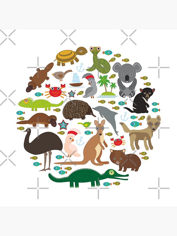 Animales Australia: Echidna Platypus avestruz Emu Demonio de Tasmania Cacatúa loro Wombat serpiente tortuga cocodrilo canguro dingo pulpo pez Lagarto monitor. de EkaterinaP