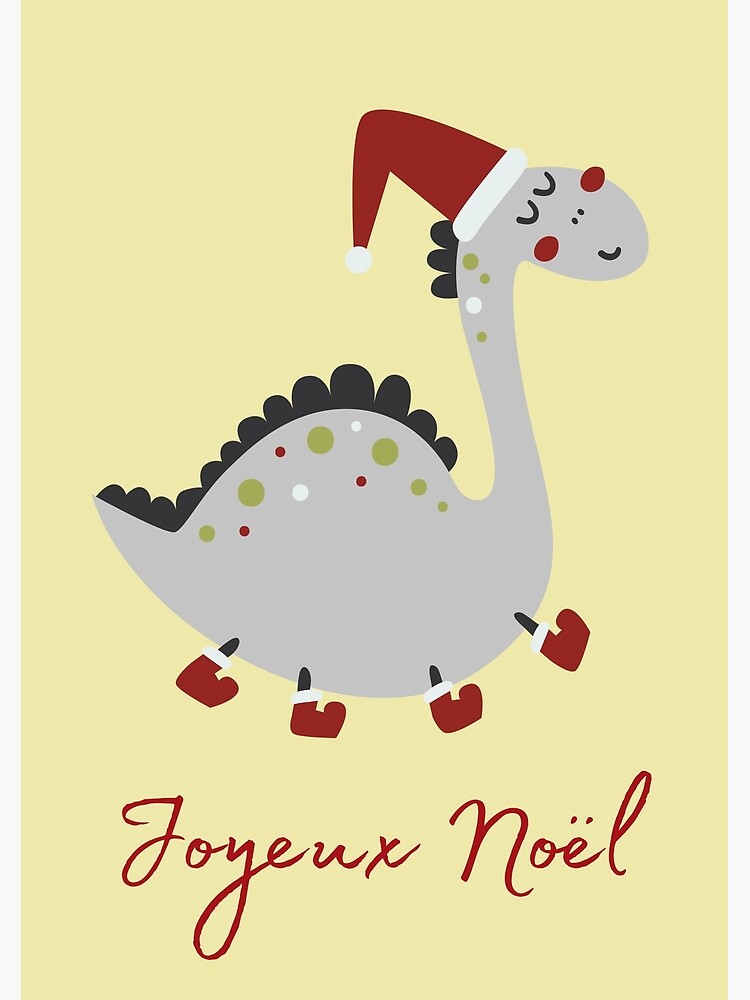 joyeux-noel-merry-christmas-in-french-elegant-christmas-ornament-home