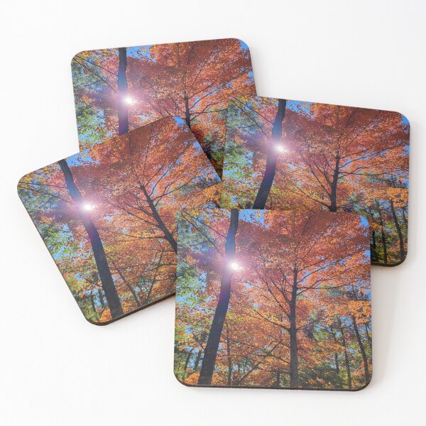 Item preview, Sunlight through the leaves designed and sold by Randell Meeks.