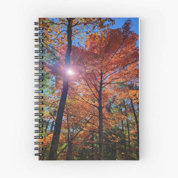Item preview, Sunlight through the leaves designed and sold by Randell Meeks.