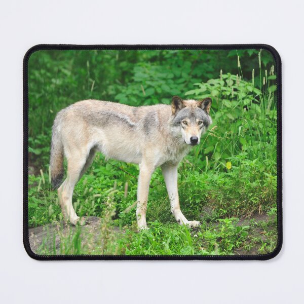 Item preview, Wolf designed and sold by The Wild Healing.