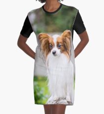 Portrait of a papillon purebreed dog Graphic T-Shirt Dress