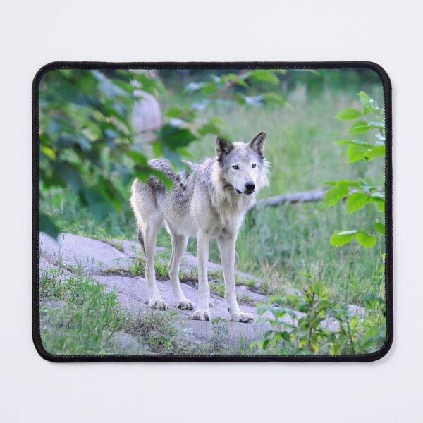 Item preview, Mother Wolf designed and sold by TheSacredRitual.