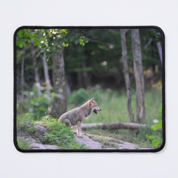 Item preview, Wolf Cub designed and sold by TheSacredRitual.