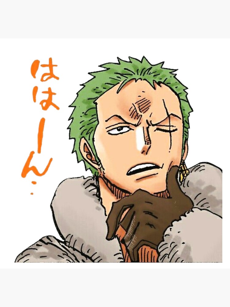 one piece sleeping zoro Sticker for Sale by mayvsantillan