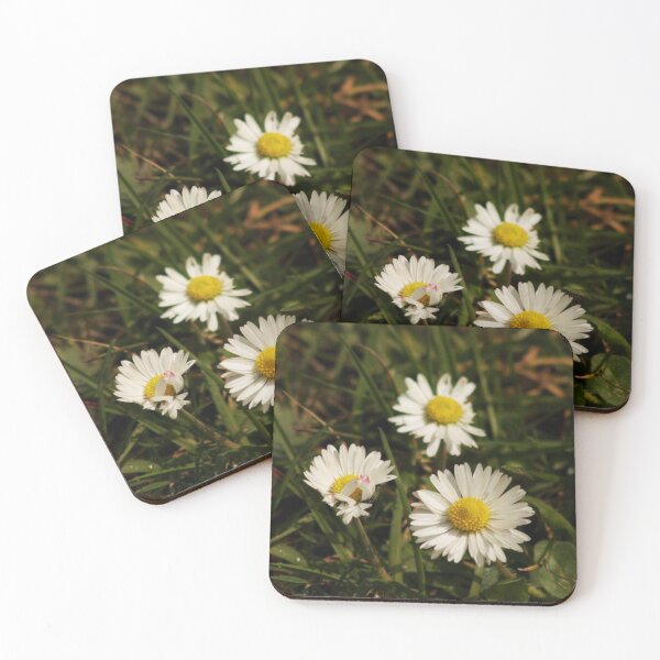 Item preview, daisies and grass designed and sold by Francespoppy.