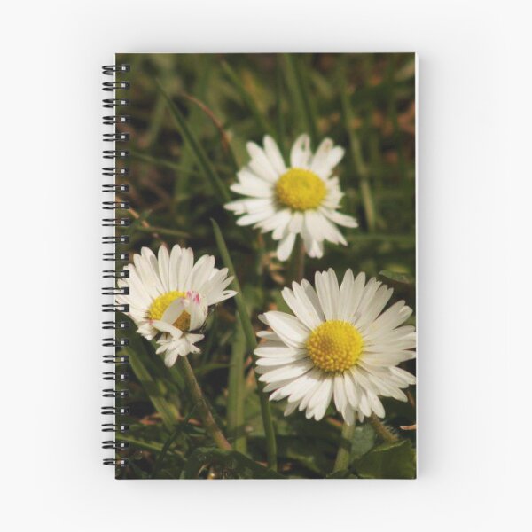 Item preview, daisies and grass designed and sold by Francespoppy.