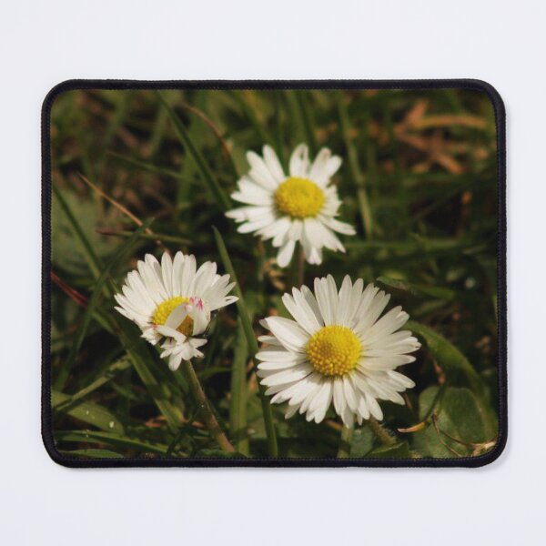 Item preview, daisies and grass designed and sold by Francespoppy.