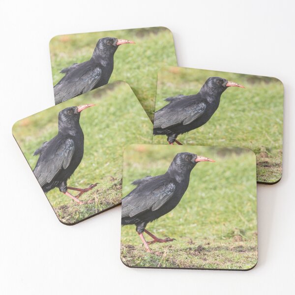 Item preview, Chough designed and sold by LaurenTucker.