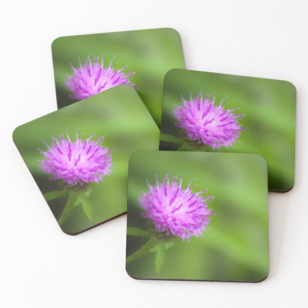 Item preview, Meadow Thistle designed and sold by Francespoppy.