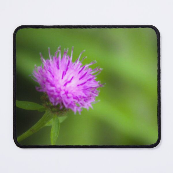 Item preview, Meadow Thistle designed and sold by Francespoppy.
