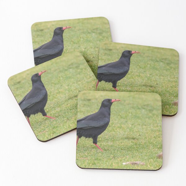 Item preview, Chough designed and sold by LaurenTucker.
