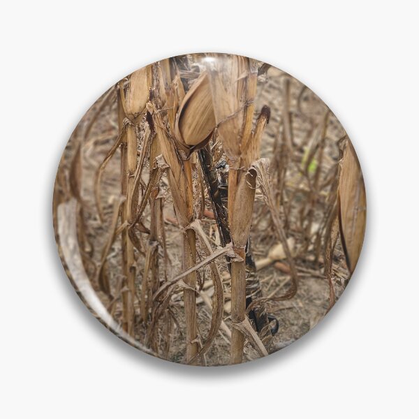 Item preview, Dove field  with cornstalk shotgun rest designed and sold by Randell Meeks.