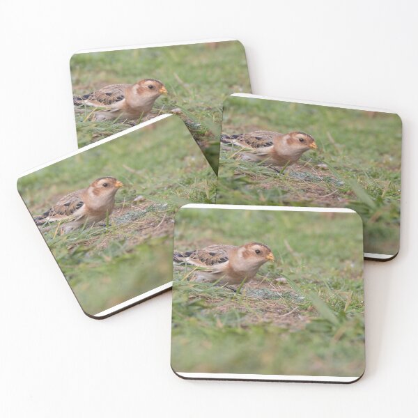 Item preview, Snow Bunting designed and sold by LaurenTucker.