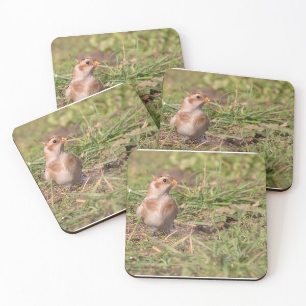 Item preview, Snow Bunting designed and sold by LaurenTucker.