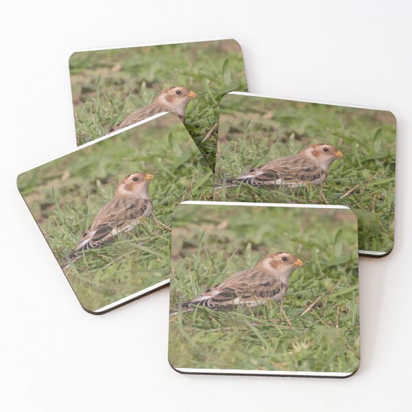 Item preview, Snow Bunting designed and sold by LaurenTucker.