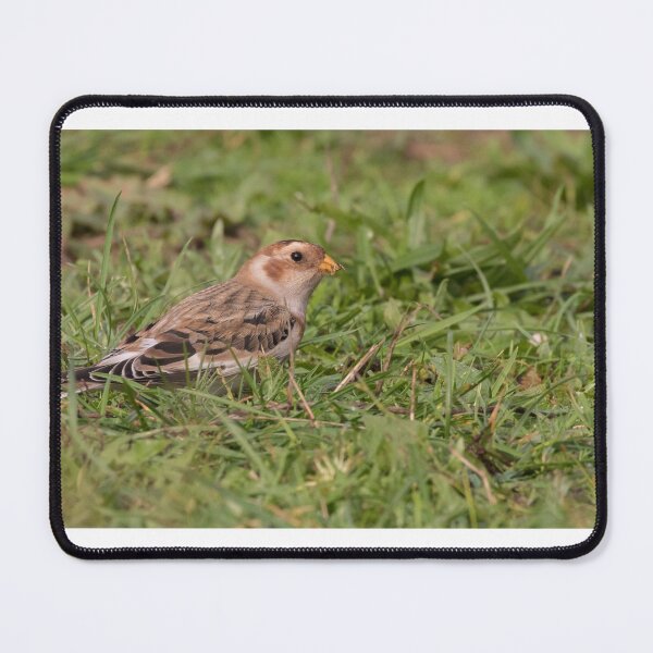 Item preview, Snow Bunting designed and sold by LaurenTucker.