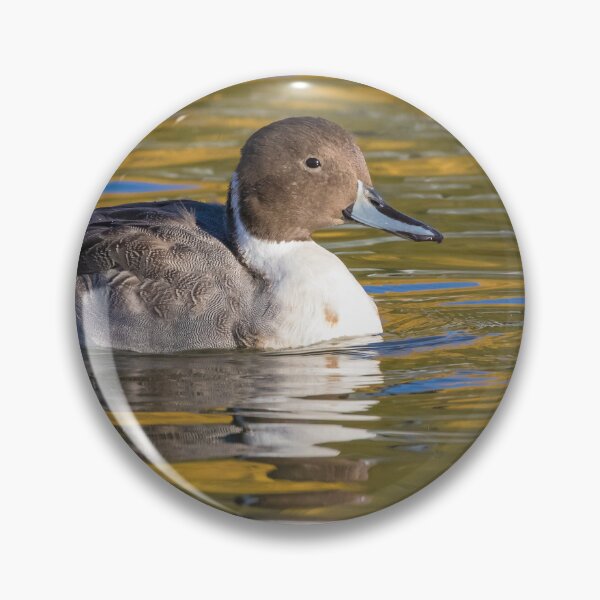 Item preview, Pintail designed and sold by LaurenTucker.