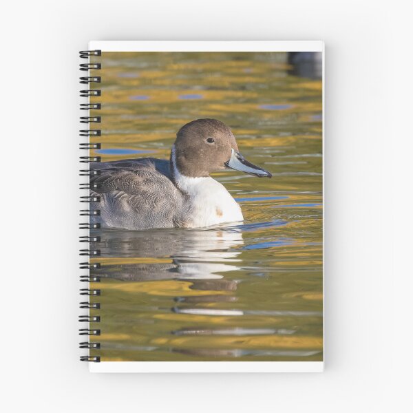 Item preview, Pintail designed and sold by LaurenTucker.