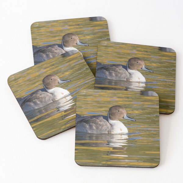 Item preview, Pintail designed and sold by LaurenTucker.