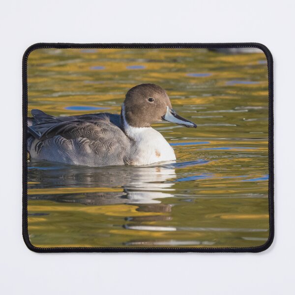 Item preview, Pintail designed and sold by LaurenTucker.
