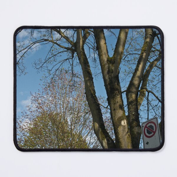 Item preview, Cool Spring designed and sold by Gabriele Maurus.