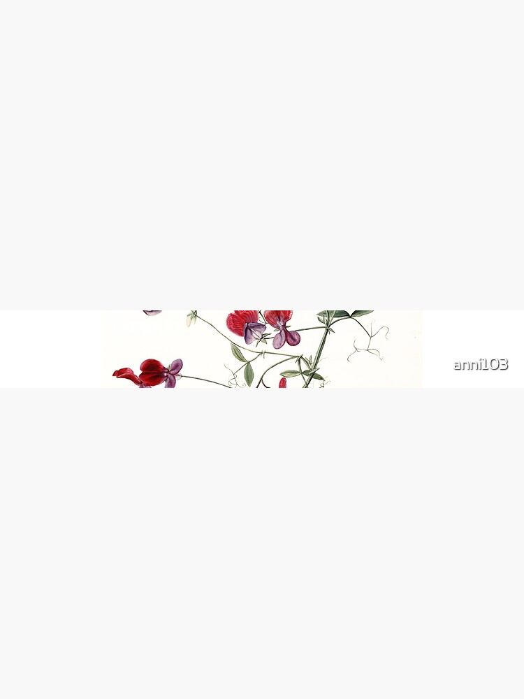 Sweet Pea Botanical by anni103