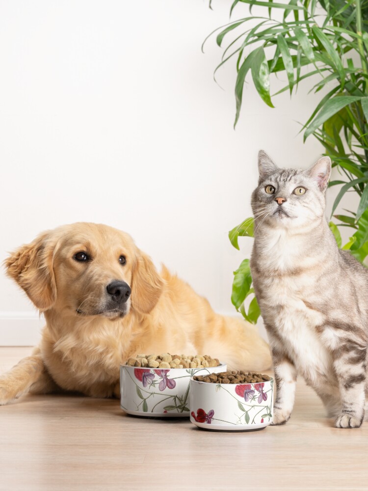Alternate view of Sweet Pea Botanical Pet Bowl