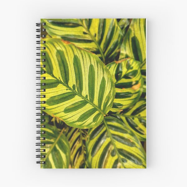 Artikelvorschau, decorative leaves entworfen und verkauft von IgorKovalenko.