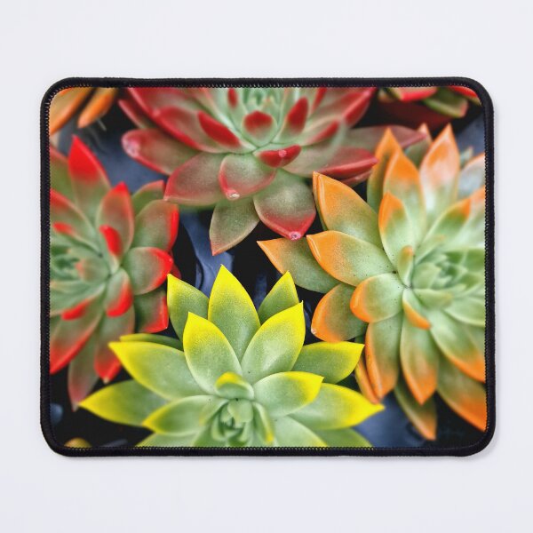 Artikelvorschau, decorative leaves entworfen und verkauft von IgorKovalenko.
