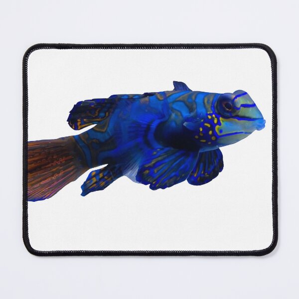Item preview, Mandarin Fish designed and sold by curiocabinets.