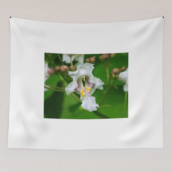 Item preview, Flowers on a Catalpa Tree designed and sold by Gary Benson.