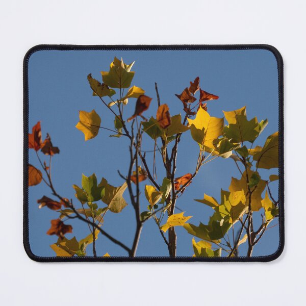 Item preview, Remnants of Autumn's Glory designed and sold by Gerda Grice Photography.