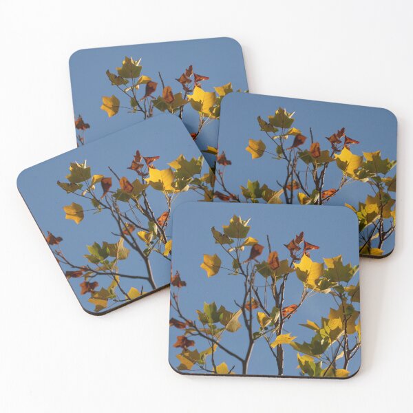 Item preview, Remnants of Autumn's Glory designed and sold by Gerda Grice Photography.