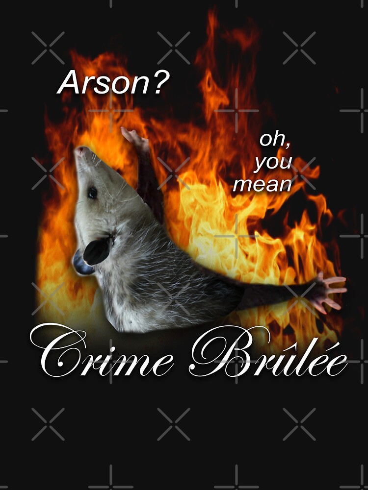 Funny Rat Arson oh you mean crime shirt, hoodie, sweater, long