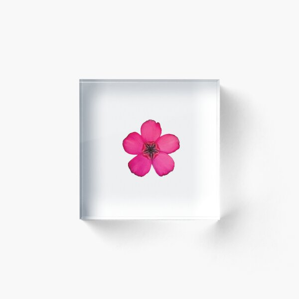 Red Flax flower Acrylic Block