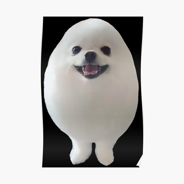 "EGGDOG Meme (Egg Dog Cute Pomeranian)" Poster for Sale by fomodesigns