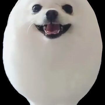 EGGDOG Meme (Egg Dog Cute Pomeranian)\
