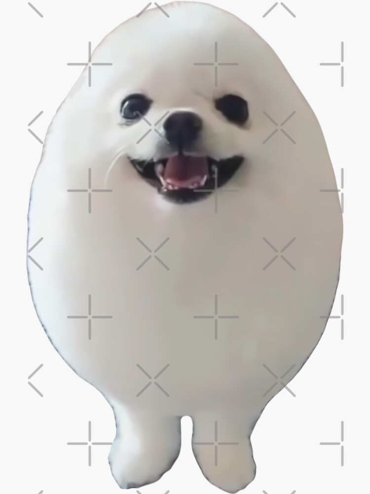 "EGGDOG Meme (Egg Dog Cute Pomeranian)" Sticker for Sale by fomodesigns
