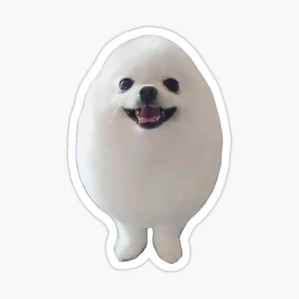 "EGGDOG Meme (Egg Dog Cute Pomeranian)" Sticker for Sale by fomodesigns