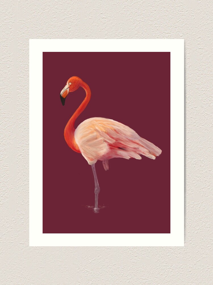 American Flamingo Art Print