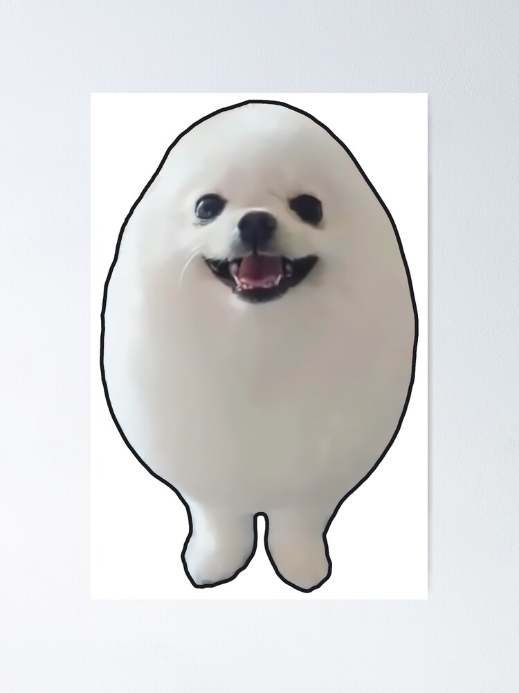 "Funny EGGDOG Meme (Egg Dog White Pomeranian HQ)" Poster for Sale by